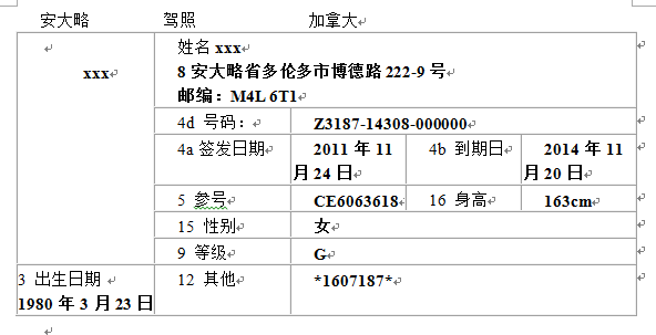 国外驾照翻译模板